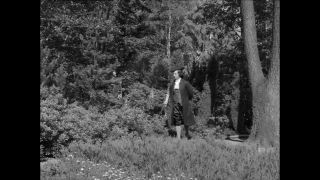 Link to Video | Paul Karl Lieberenz