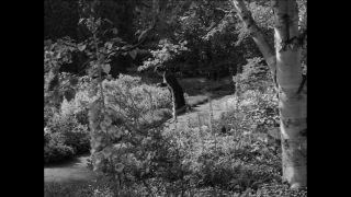 Link to Video | Paul Karl Lieberenz