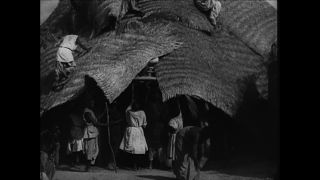 Link to Video | Paul Karl Lieberenz