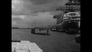 Link to Video | Paul Karl Lieberenz