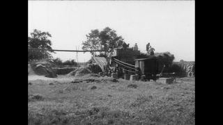 Link to Video | Paul Karl Lieberenz