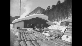 Link to Video | Paul Karl Lieberenz