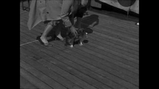 Link to Video | Paul Karl Lieberenz