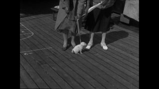 Link to Video | Paul Karl Lieberenz