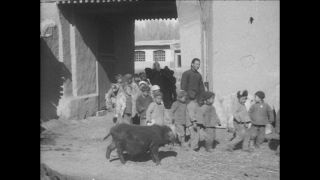 Link to Video | Paul Karl Lieberenz