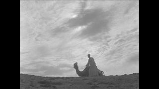 Link to Video | Paul Karl Lieberenz