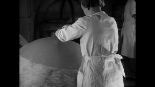 Link to Video | Paul Karl Lieberenz