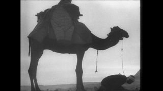 Link to Video | Paul Karl Lieberenz