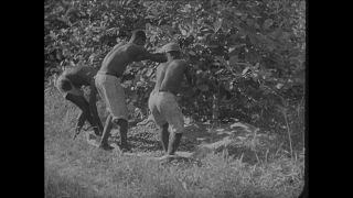 Link to Video | Paul Karl Lieberenz