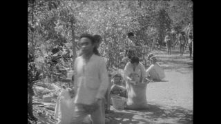 Link to Video | Paul Karl Lieberenz