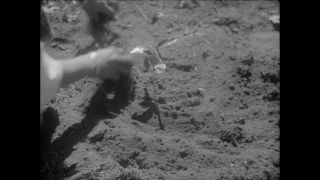 Link to Video | Paul Karl Lieberenz