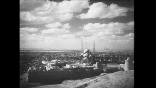 Link to Video | Paul Karl Lieberenz