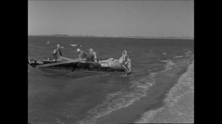 Link to Video | Paul Karl Lieberenz