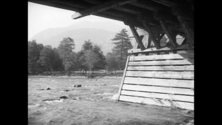 Link to Video | Paul Karl Lieberenz