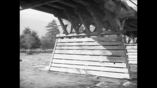 Link to Video | Paul Karl Lieberenz