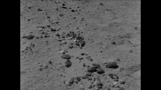 Link to Video | Paul Karl Lieberenz