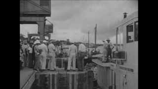 Link to Video | Paul Karl Lieberenz