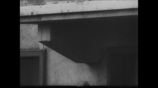 Link to Video | Paul Karl Lieberenz