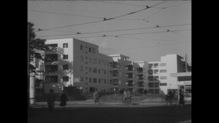 Link to Video | Paul Karl Lieberenz