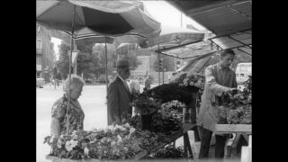 Link to Video | Paul Karl Lieberenz