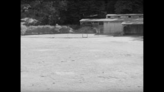 Link to Video | Paul Karl Lieberenz