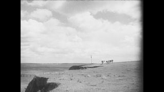 Link to Video | Paul Karl Lieberenz