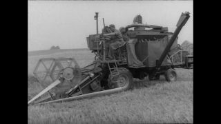 Link to Video | Paul Karl Lieberenz