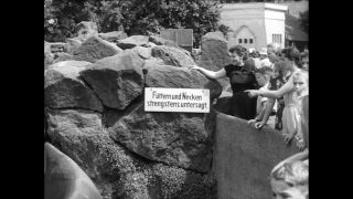 Link to Video | Paul Karl Lieberenz