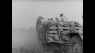 Link to Video | Paul Karl Lieberenz