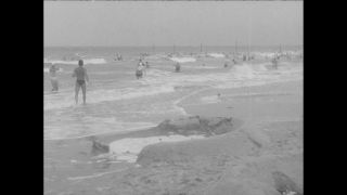 Link to Video | Paul Karl Lieberenz