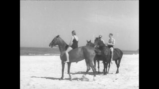 Link to Video | Paul Karl Lieberenz