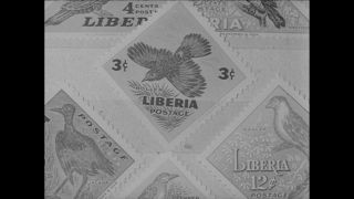 Link to Video | Paul Karl Lieberenz