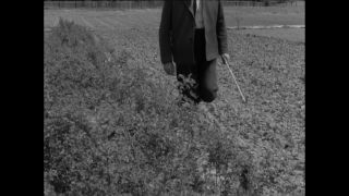 Link to Video | Paul Karl Lieberenz