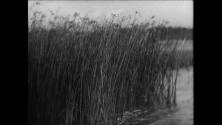 Link to Video | Paul Karl Lieberenz