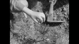 Link to Video | Paul Karl Lieberenz