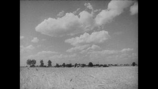 Link to Video | Paul Karl Lieberenz