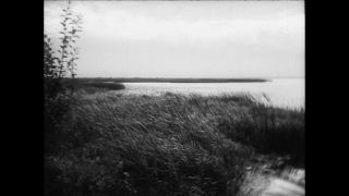 Link to Video | Paul Karl Lieberenz