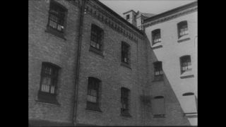 Link to Video | Paul Karl Lieberenz