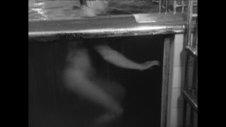 Link to Video | Paul Karl Lieberenz