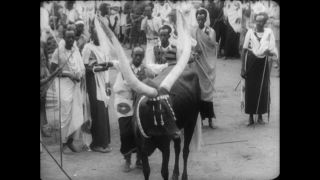 Link to Video | dance, Paul Karl Lieberenz, dancing, music