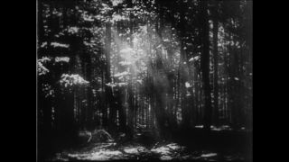 Link to Video | Paul Karl Lieberenz