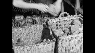 Link to Video | Paul Karl Lieberenz