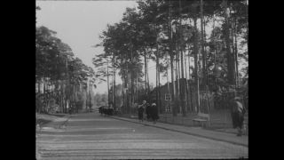 Link to Video | Paul Karl Lieberenz