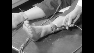 Link to Video | Paul Karl Lieberenz