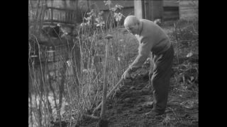 Link to Video | Paul Karl Lieberenz