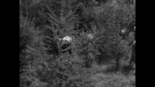 Link to Video | Paul Karl Lieberenz