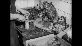 Link to Video | Paul Karl Lieberenz