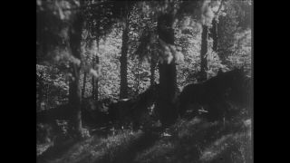 Link to Video | Paul Karl Lieberenz