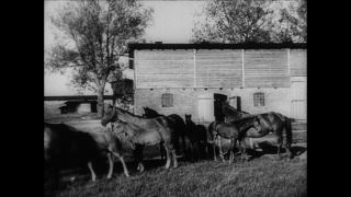 Link to Video | Paul Karl Lieberenz