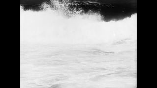 Link to Video | Paul Karl Lieberenz